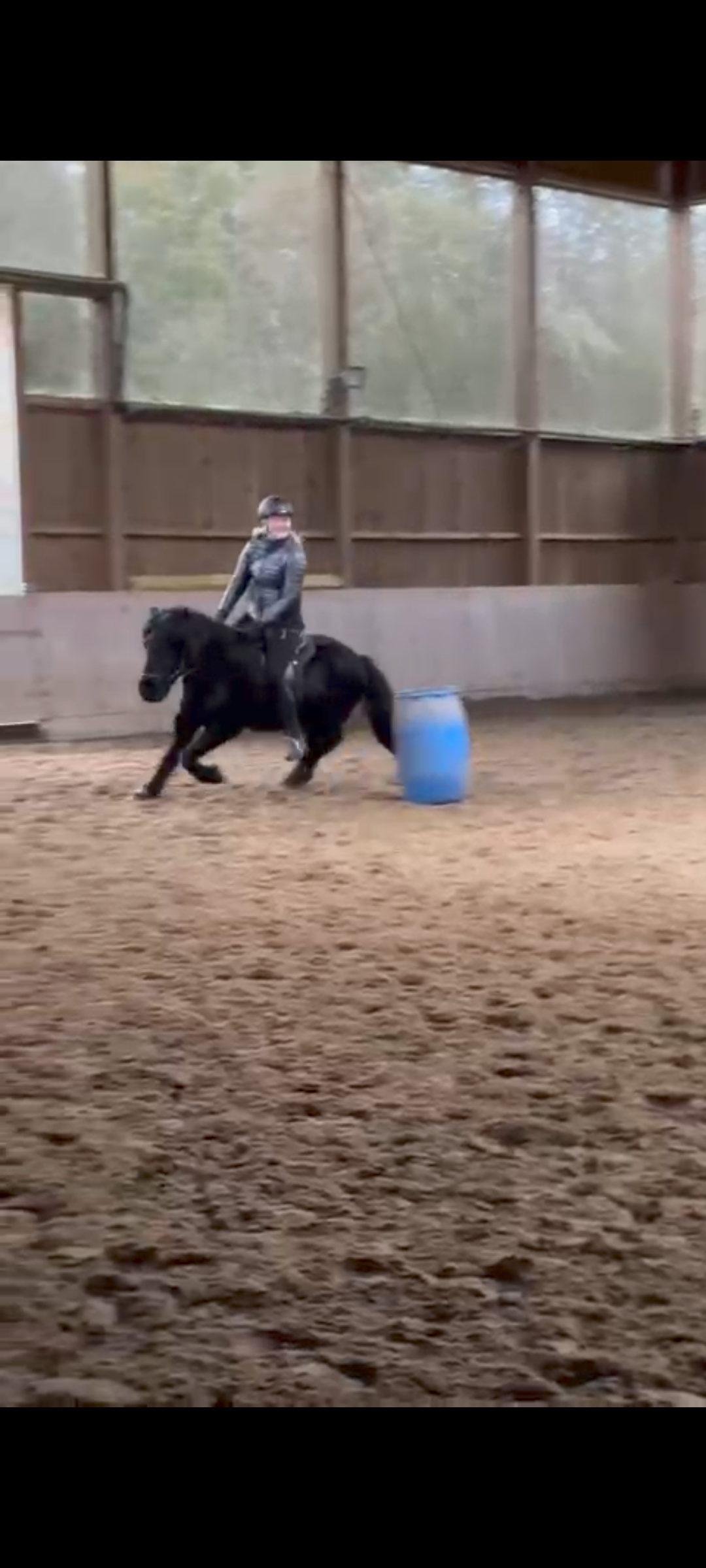 Rodeotag