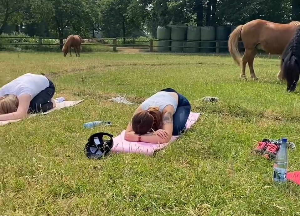 Yoga für Reiter