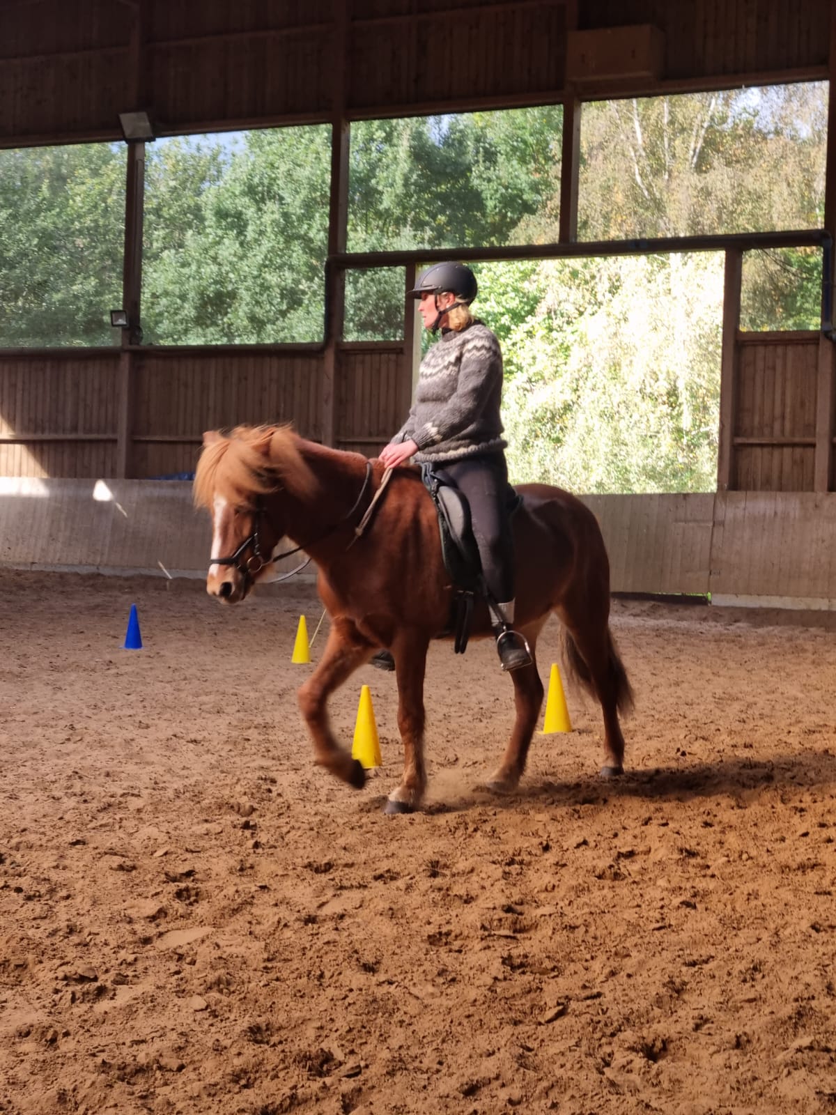 Halsringreiten